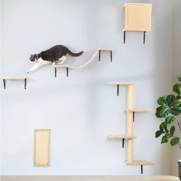 Wall-Mounted Cat Climber Set (5-Piece) – Floating Cat Shelves & Perches with Scratching Posts | Modern Cat Activity Tree