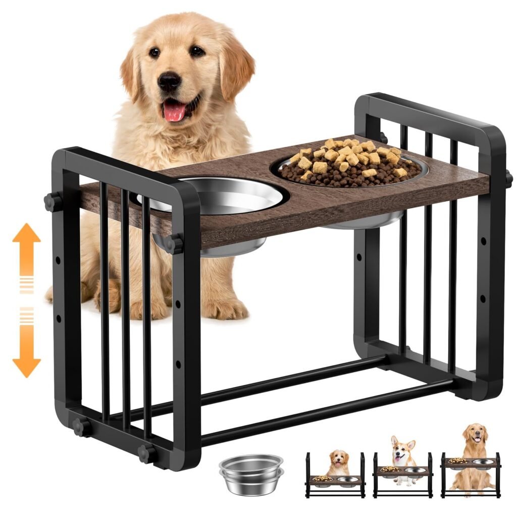 Vet-Approved Elevated Dog Bowls